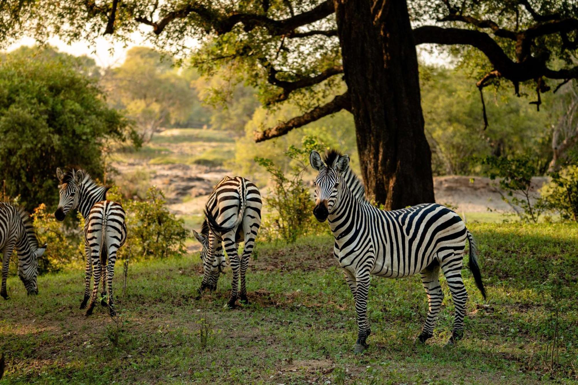 Radisson Blu Mosi-Oa-Tunya Livingstone Resort エクステリア 写真