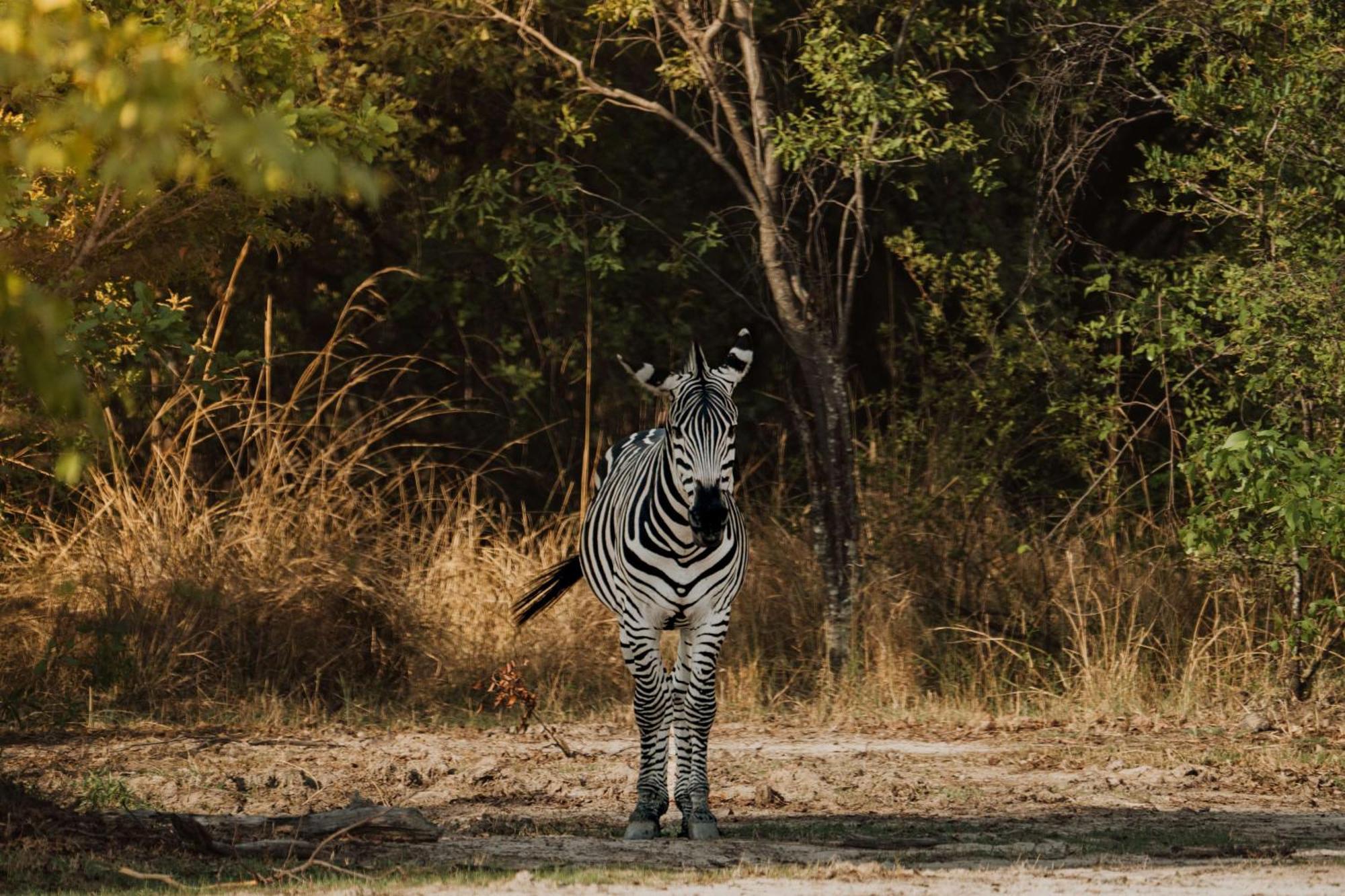 Radisson Blu Mosi-Oa-Tunya Livingstone Resort エクステリア 写真